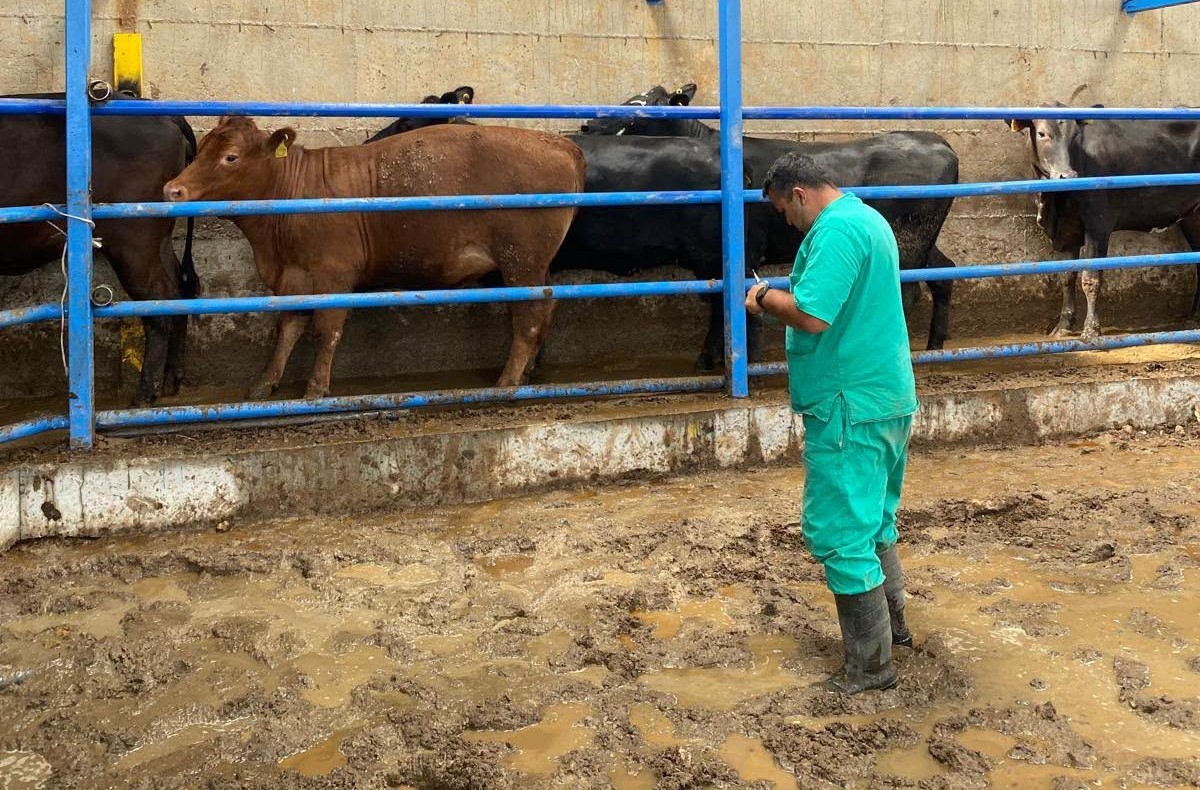 Hayvan sağlığı i&ccedil;in işletmeler tek tek geziliyor