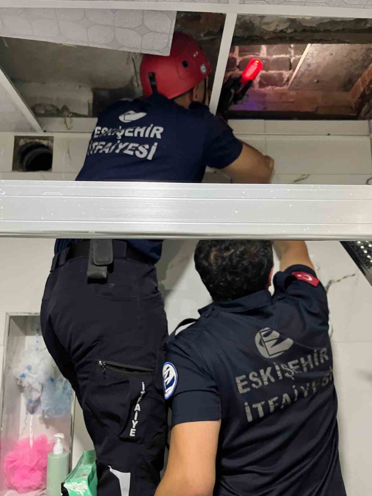 Havalandırma boşluğunda mahsur kalan kediyi itfaiye kurtarıldı