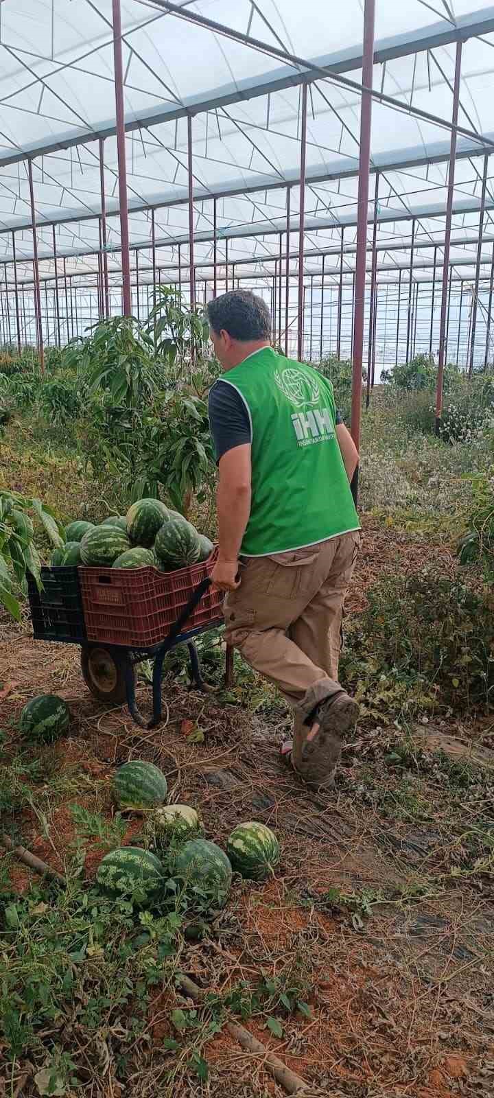 Hayırsever &ccedil;ift&ccedil;inin tarlası bu yıl &ouml;ğrencilerin i&ccedil;in hasat edildi