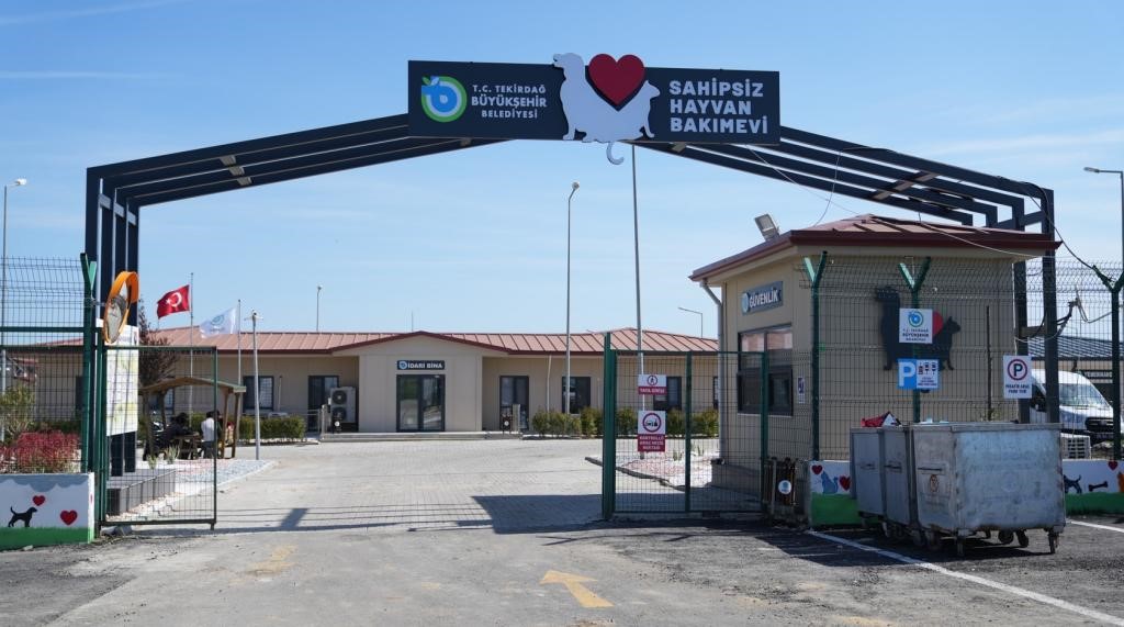Tekirdağ&rsquo;da 5 binden fazla sahipsiz hayvana umut oldular