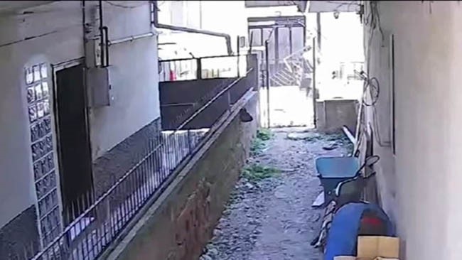 Hurdacının cesareti pes dedirtti