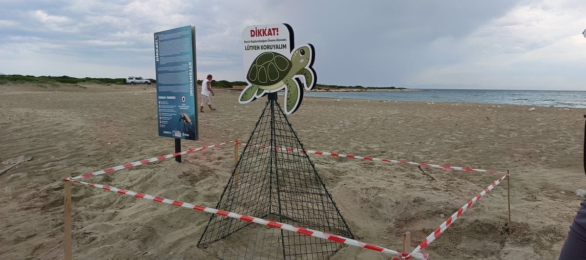 Didim Belediyesi ekiplerinin zamanında m&uuml;dahalesi caretta carettayı kurtardı