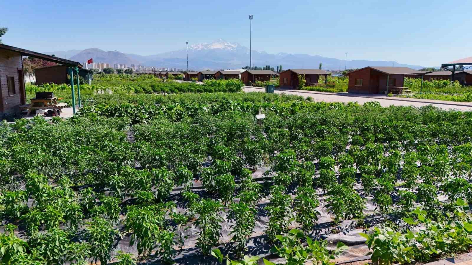 Kayseri B&uuml;y&uuml;kşehir&rsquo;in doğal &uuml;r&uuml;nler pazarı 25 Temmuz&rsquo;da kapılarını a&ccedil;ıyor