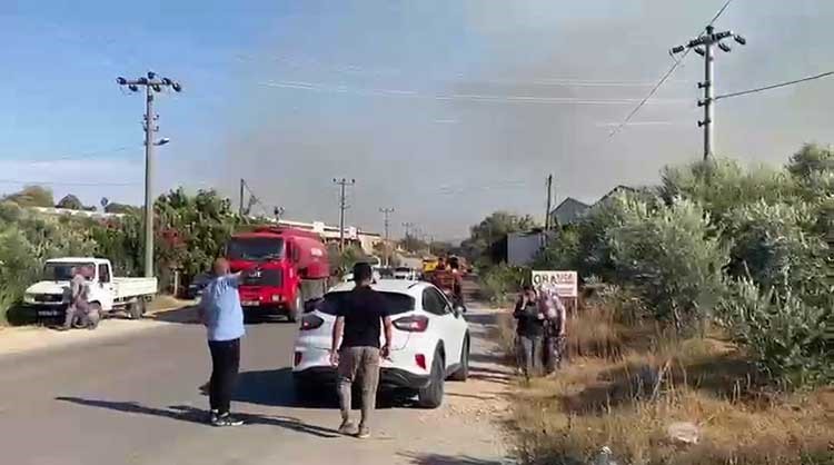 Aksu&rsquo;da ormanlık ve zeytinlik alanda yangın