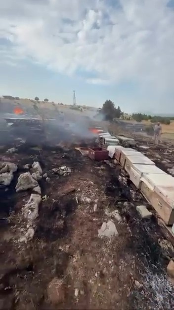 Denizli&rsquo;de yangında arılar telef oldu