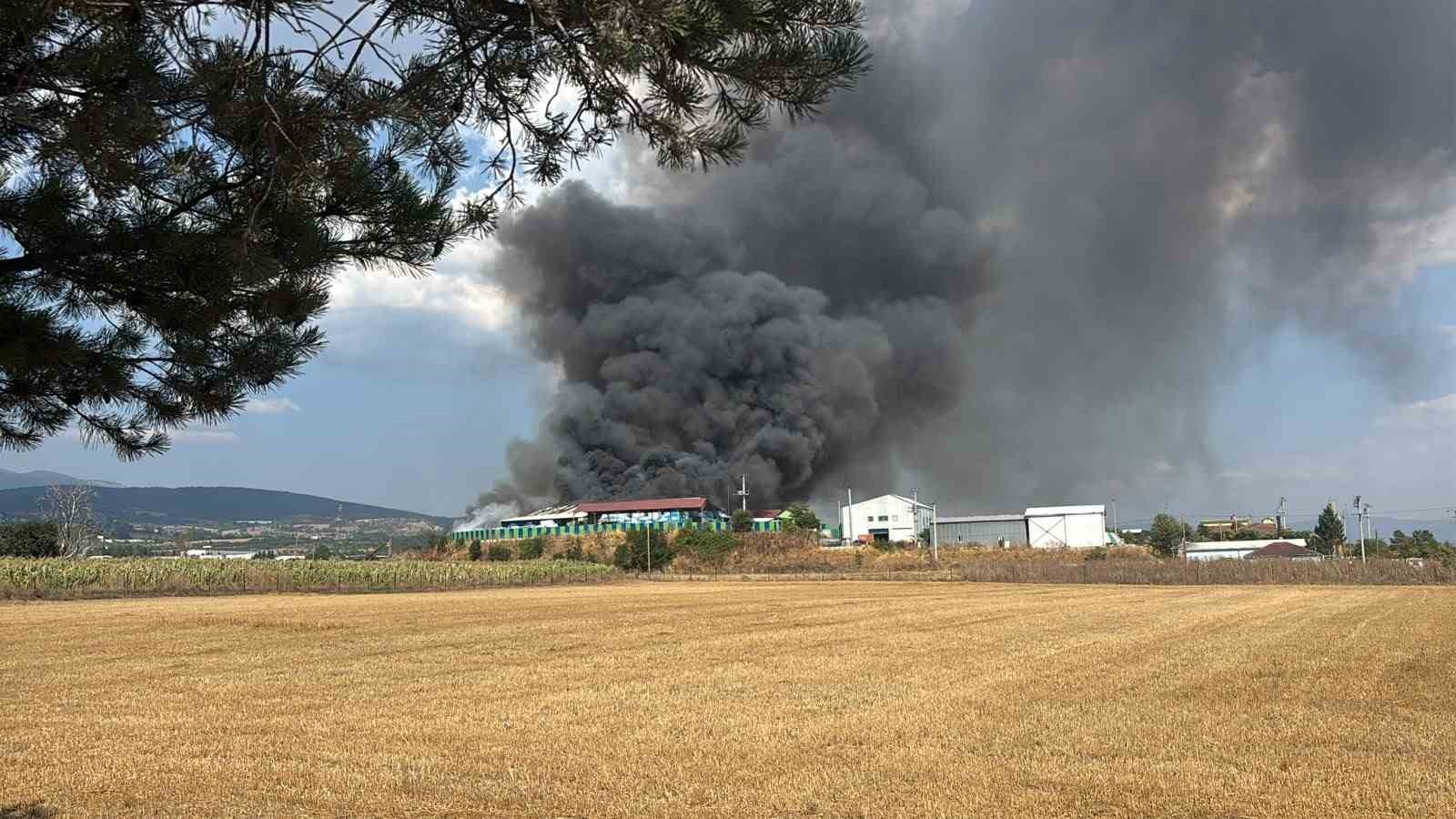 Bolu&rsquo;da geri d&ouml;n&uuml;ş&uuml;m tesisinde yangın
