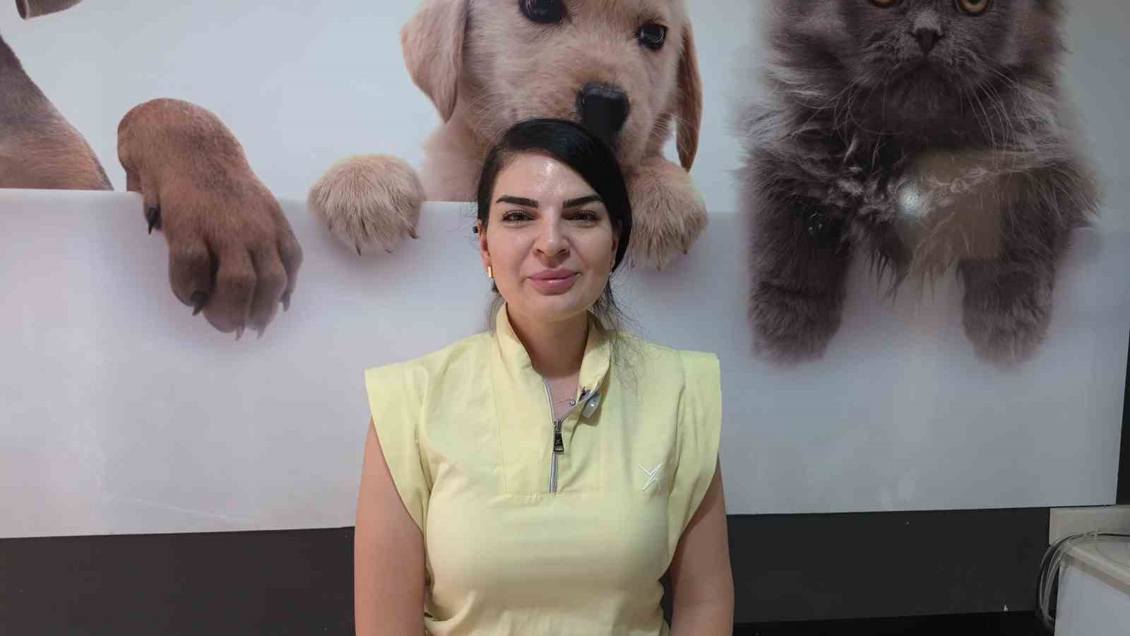 Sokak hayvanı sahiplenirken dikkat edilmesi gerekenler