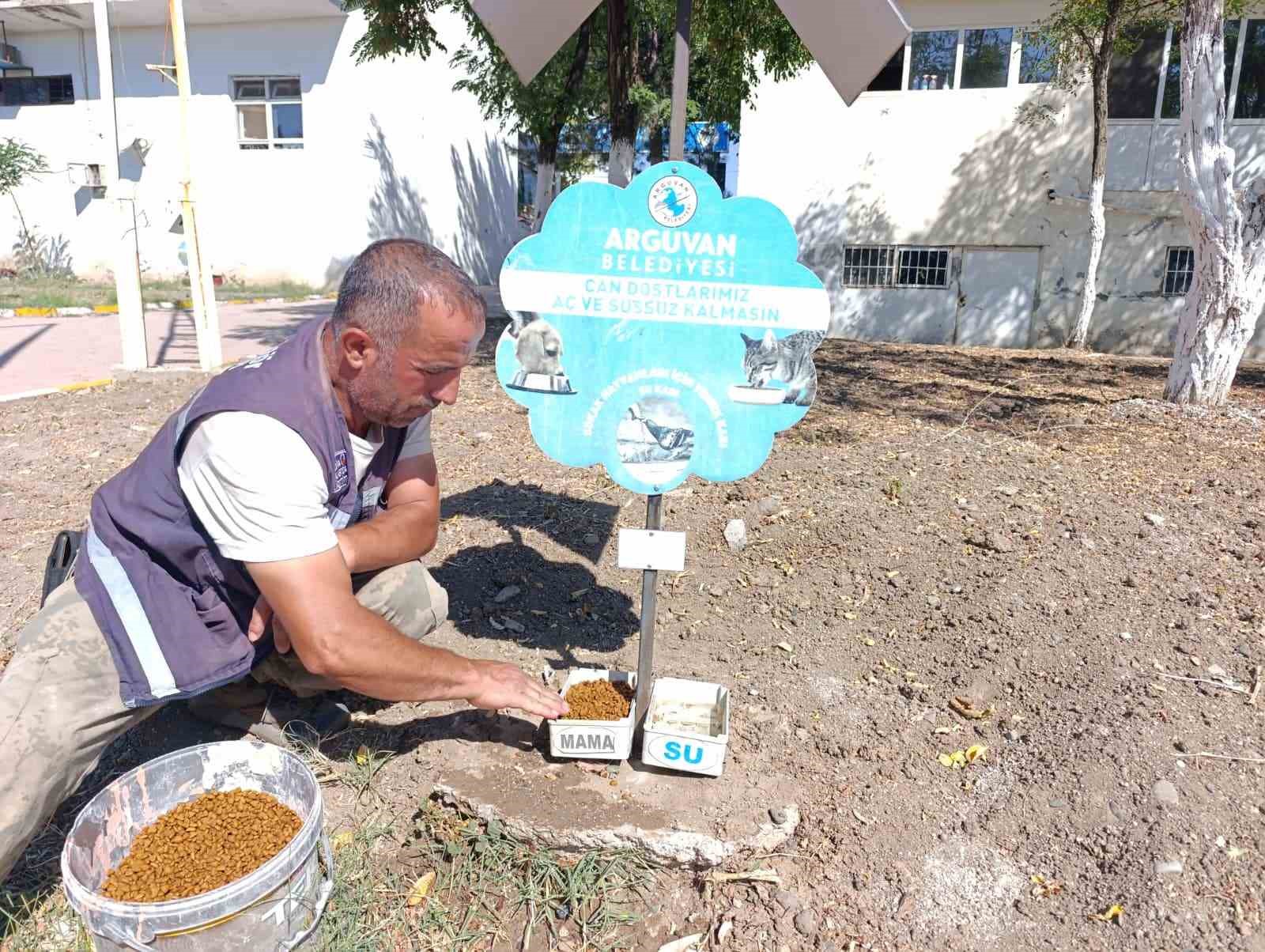 Arguvan&rsquo;da can dostları a&ccedil; ve susuz bırakılmıyor