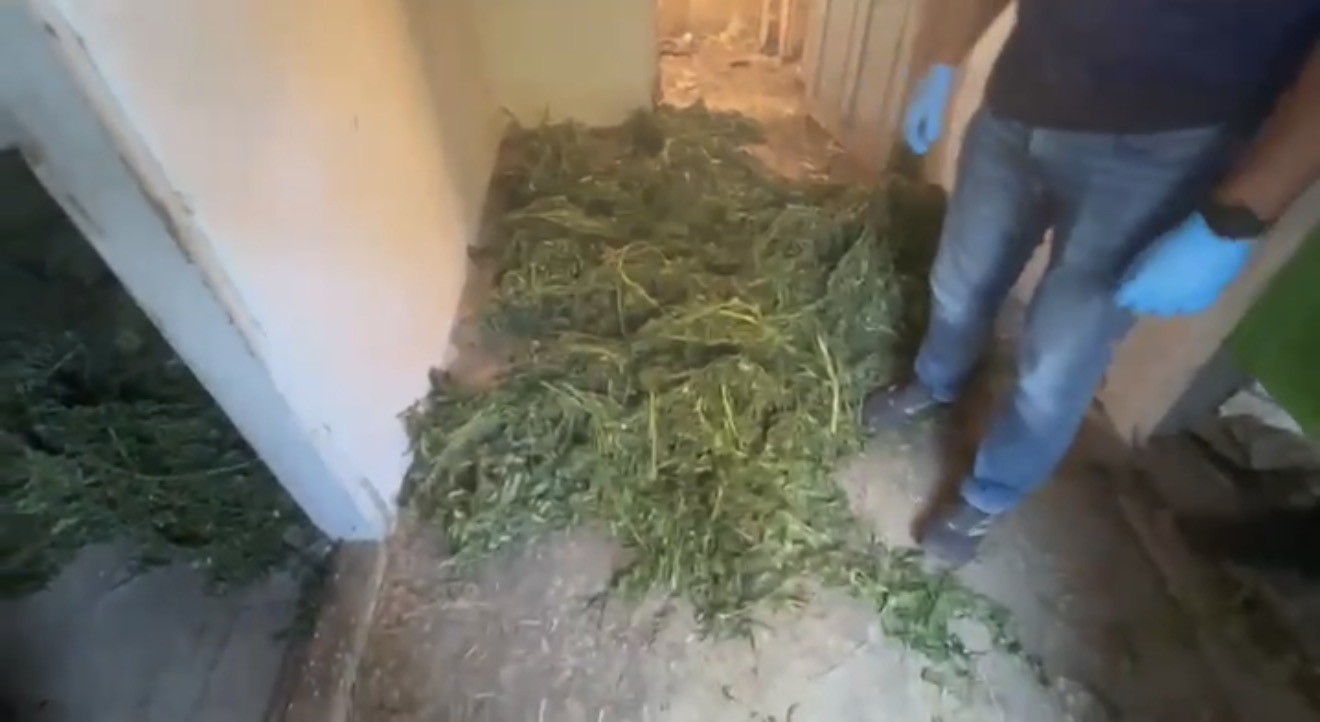 Bafra&rsquo;da 63 kilo kubar esrar ele ge&ccedil;irildi