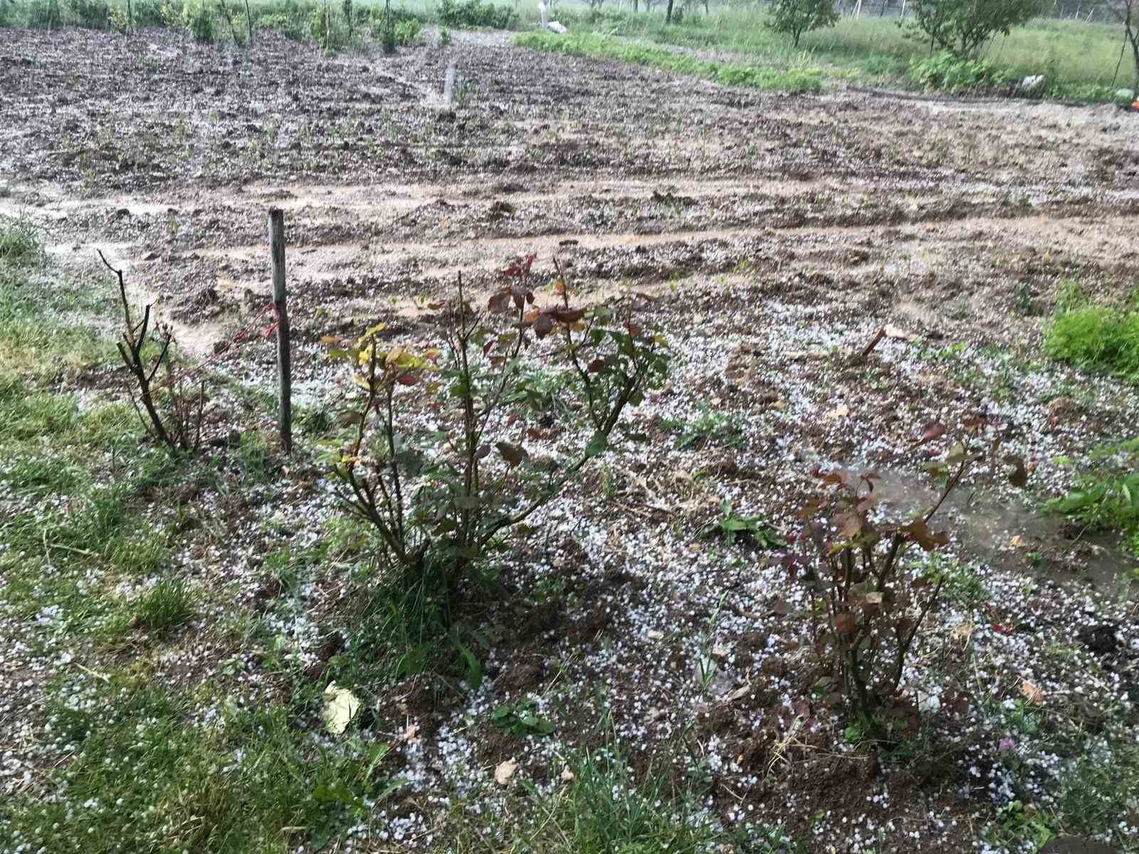 Bursa&rsquo;da dolu&hellip; Keles&rsquo;te tarım arazilerini dolu vurdu