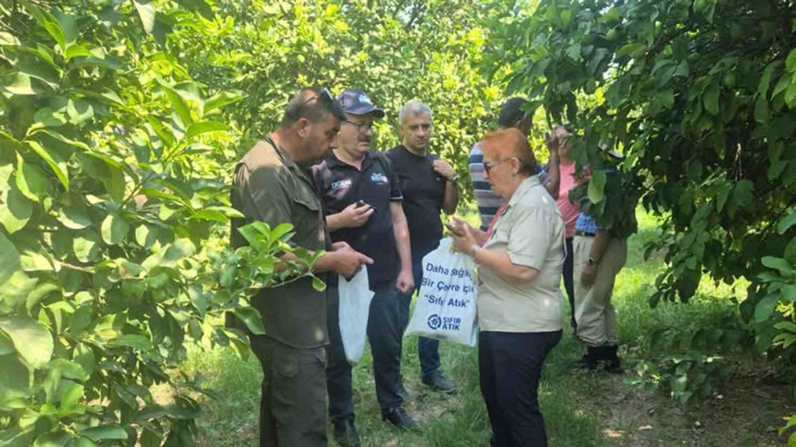 Turun&ccedil;gil &uuml;retim alanlarında s&uuml;rd&uuml;r&uuml;lebilir biyolojik m&uuml;cadele &ccedil;alışmaları