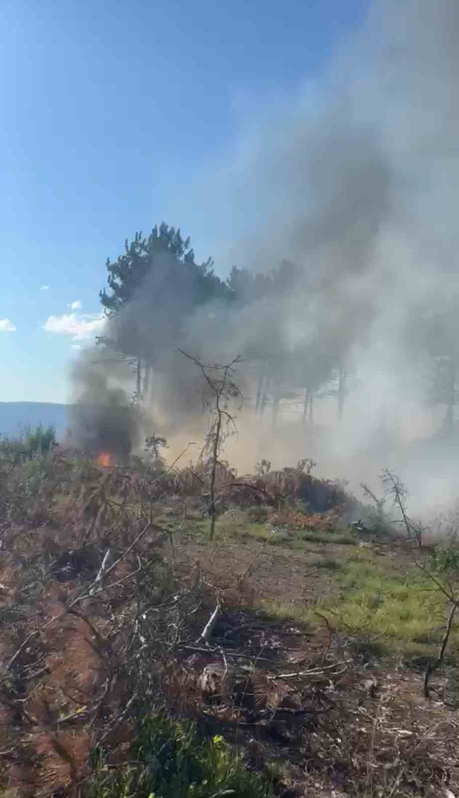 Ara&ccedil; yangını ormanlık alana sı&ccedil;radı, ekipler alevleri b&uuml;y&uuml;meden s&ouml;nd&uuml;rd&uuml;