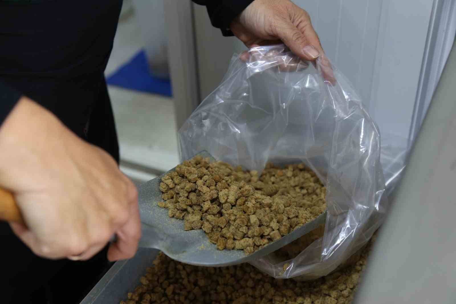 Kadın eliyle sıfır atık ve yeşil d&ouml;n&uuml;ş&uuml;me &ouml;rnek model