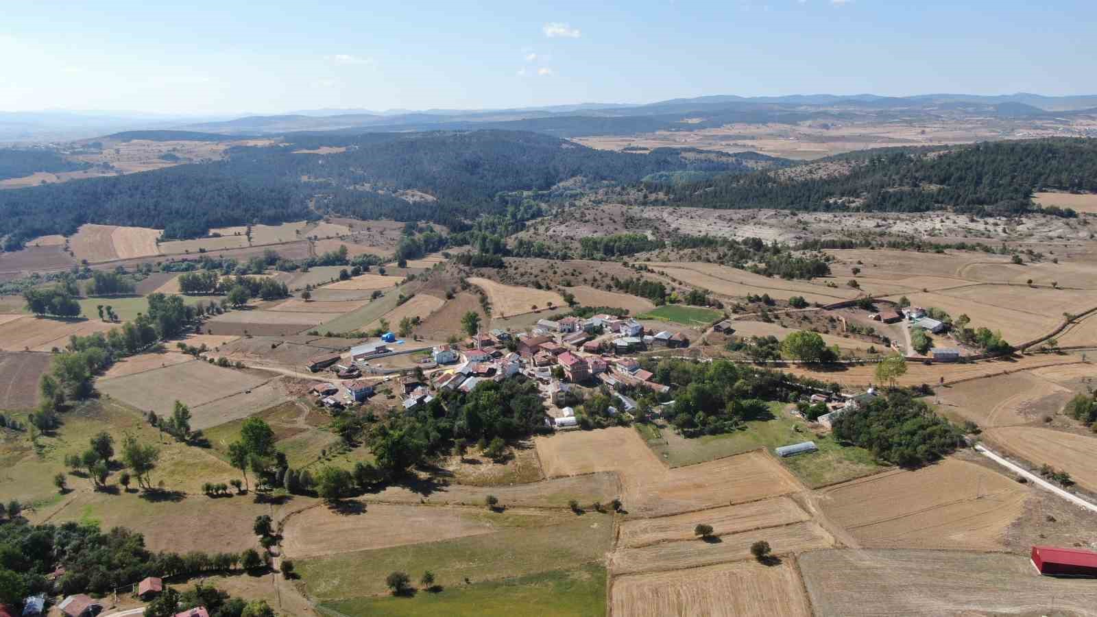 Korona vir&uuml;s sebebiyle k&ouml;y&uuml;ne d&ouml;n&uuml;p kaz &ccedil;iftliği kurdu, şimdi Kars&rsquo;a bile kaz g&ouml;nderiyor