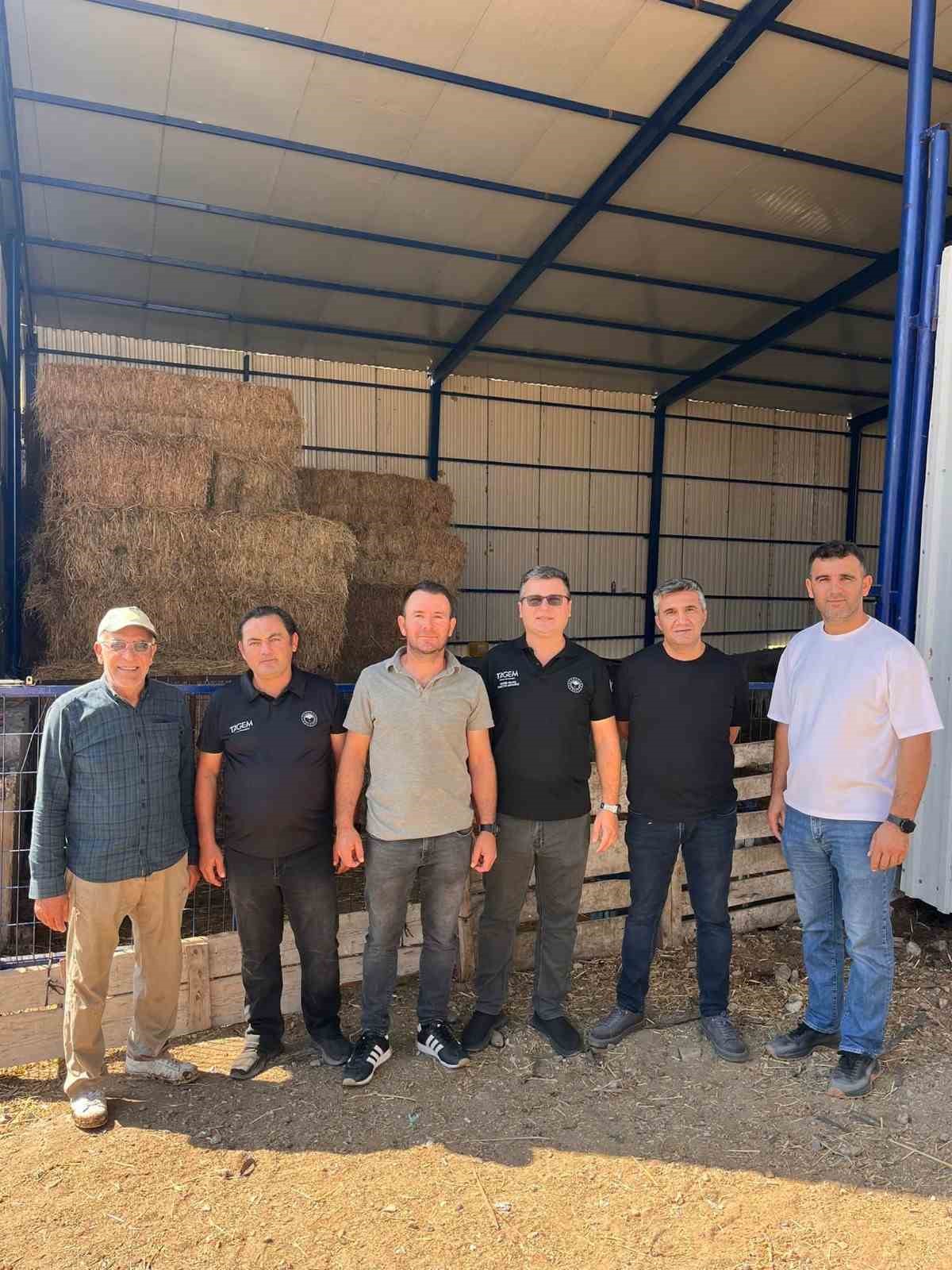 Koyunculuk Araştırma Enstit&uuml;s&uuml;&rsquo;nden Manyas&rsquo;ta &uuml;retici ziyaretleri