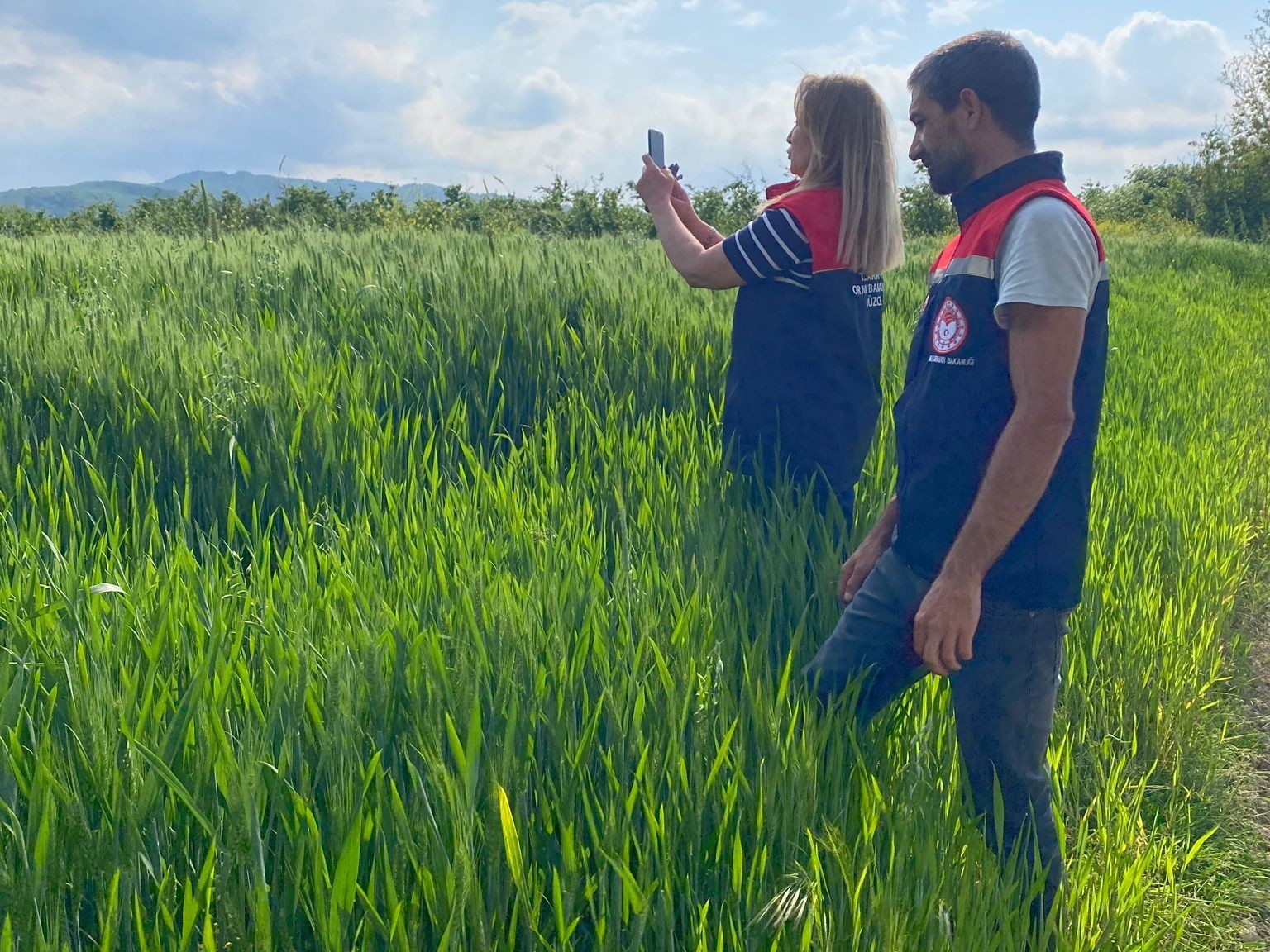 Düzce’de tarım arazileri uydu destekli denetleniyor