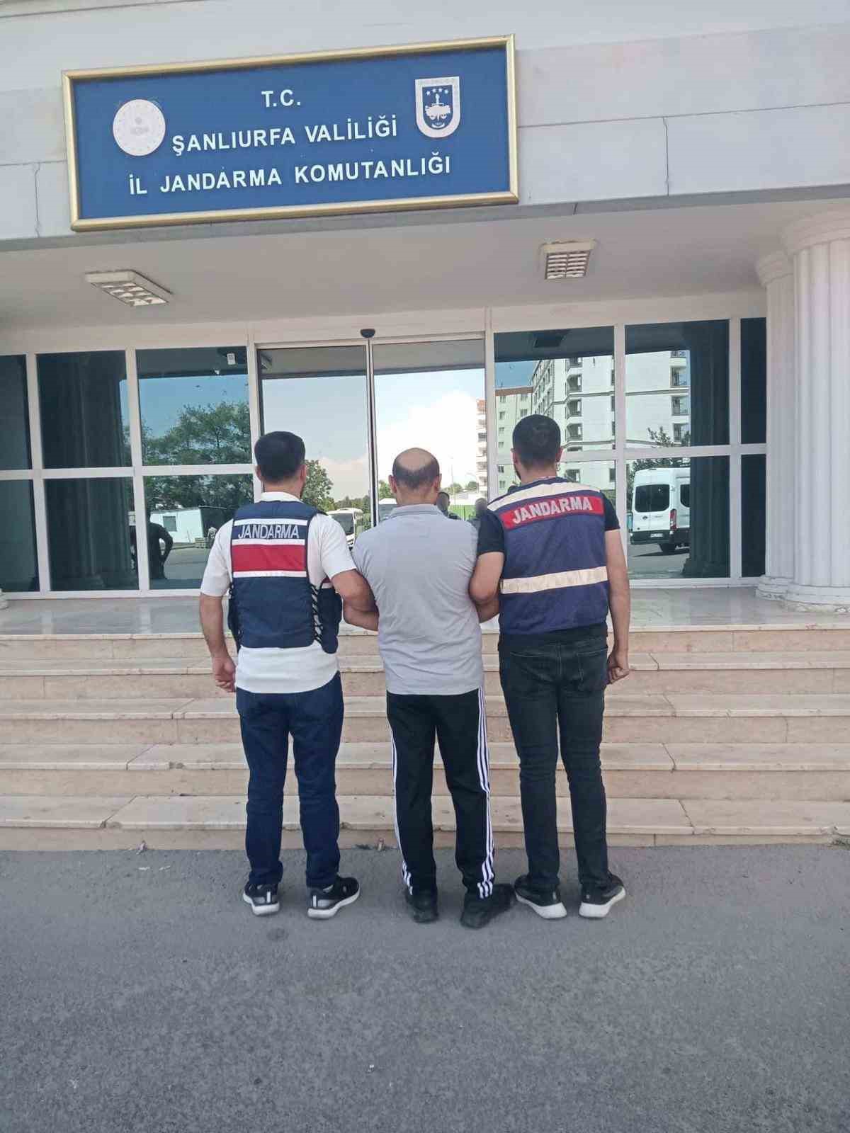 Şanlıurfa’da jandarmadan göçmen kaçakçılığı operasyonu: 20 gözaltı