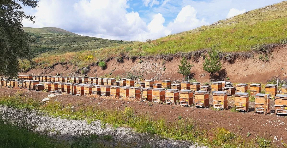 Bayburt&rsquo;un coğrafi işaretli balı turizme kazandırılacak
