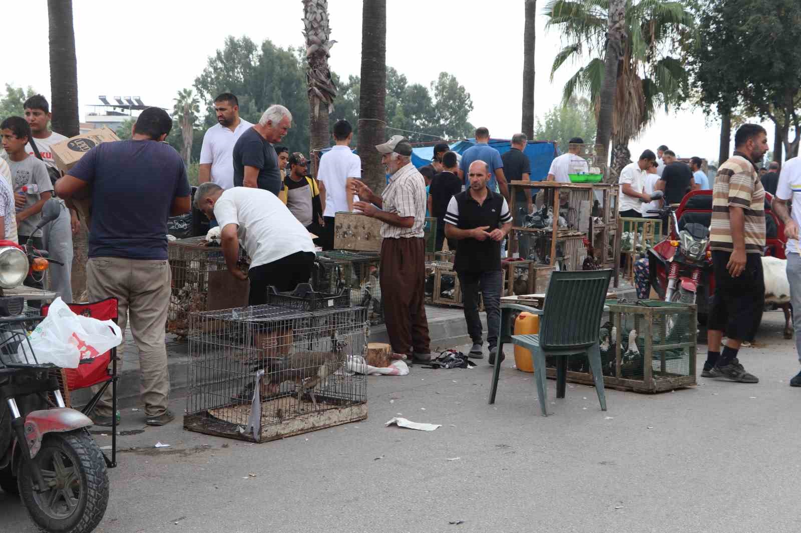 Adana&rsquo;da kuş meraklıları kuş pazarında buluşuyor