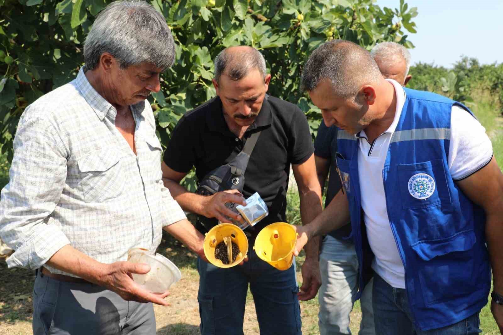 Muğla’da üreticinin emeğine çevre dostu koruma