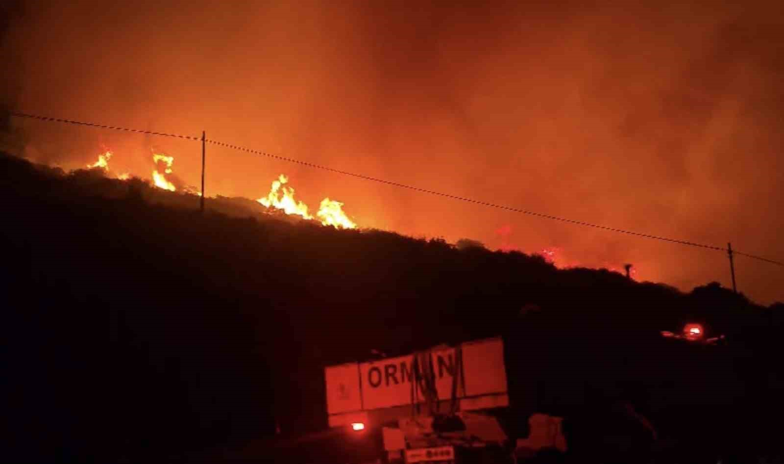 İzmir&rsquo;de makilik alanda yangın