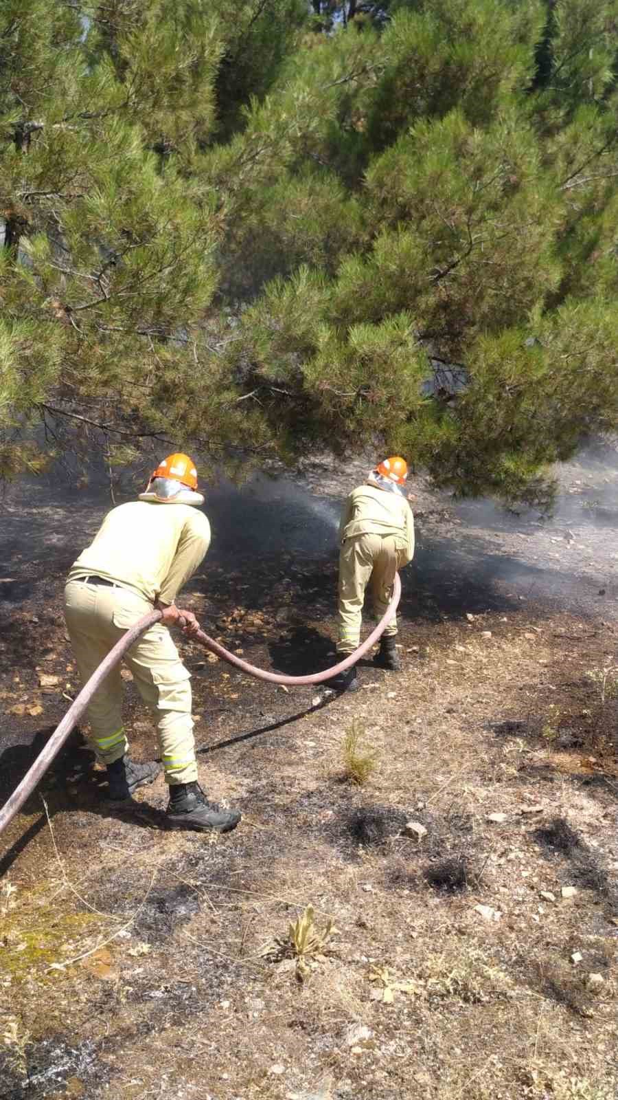 Denizli&rsquo;de orman yangını hızlı m&uuml;dahaleyle kontrol altına alındı