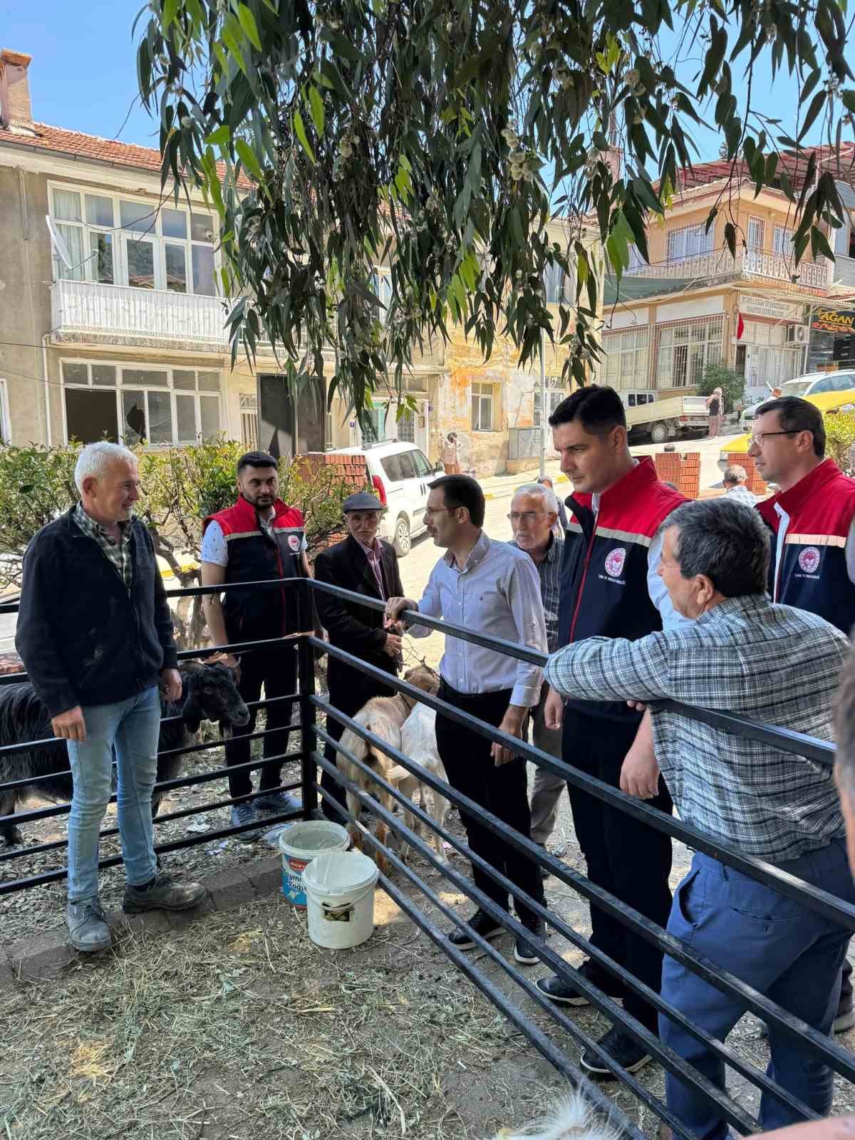 Kurban Bayramı &ouml;ncesi Bozdoğan hayvan pazarında sıkı denetim