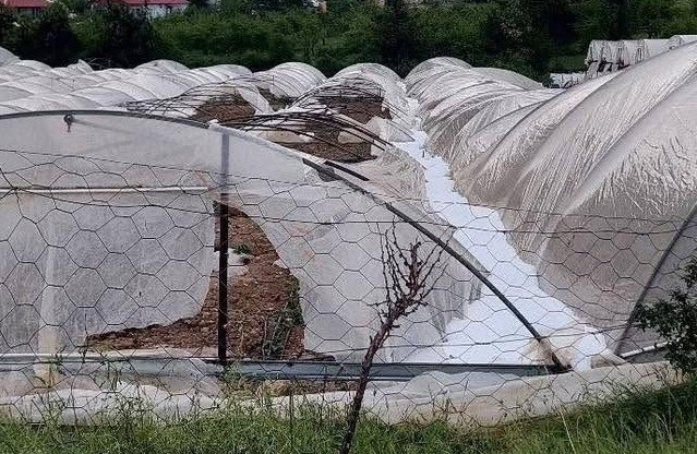 Mersin Erdemli&rsquo;de dolu tarım alanlarına zarar verdi