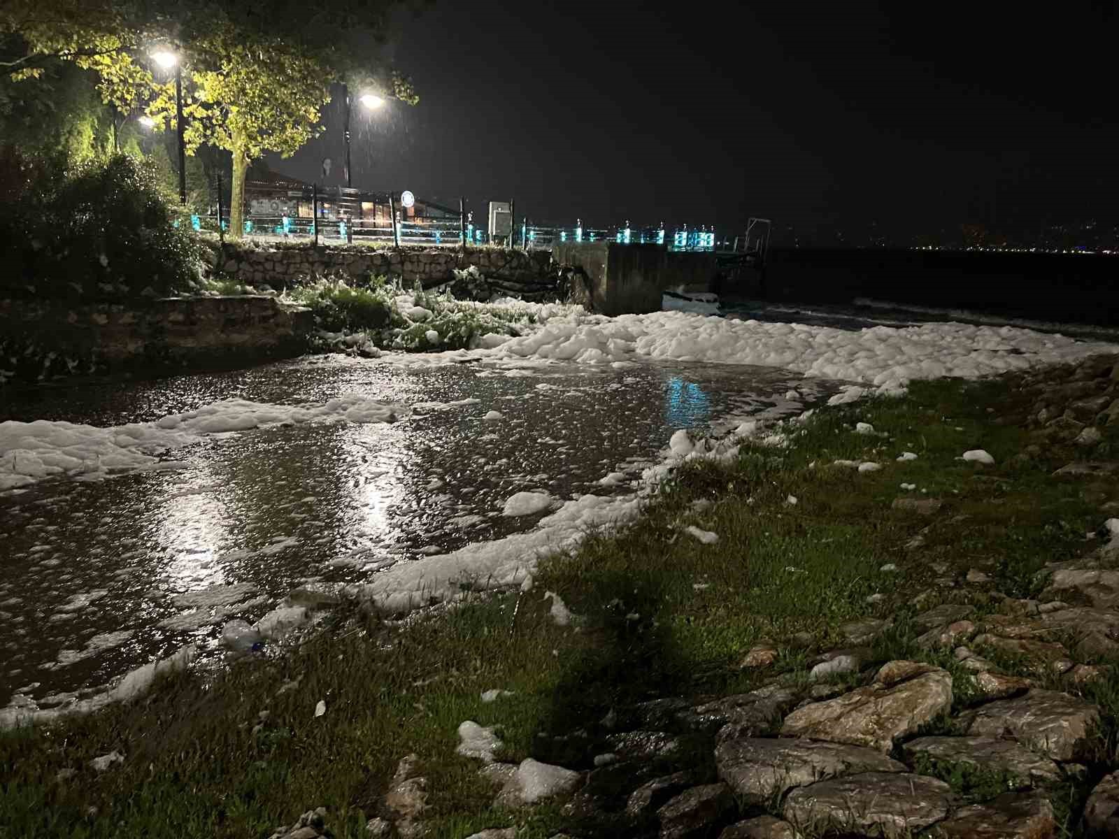İzmit&rsquo;te sahildeki k&ouml;p&uuml;kler merak uyandırdı