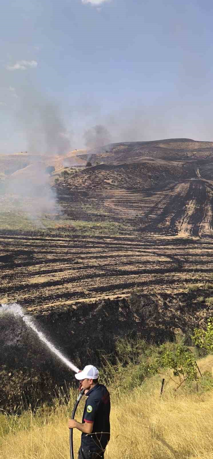 Siirt&rsquo;te anız yangını meyve bah&ccedil;esine sı&ccedil;radı, 100 ağa&ccedil; zarar g&ouml;rd&uuml;