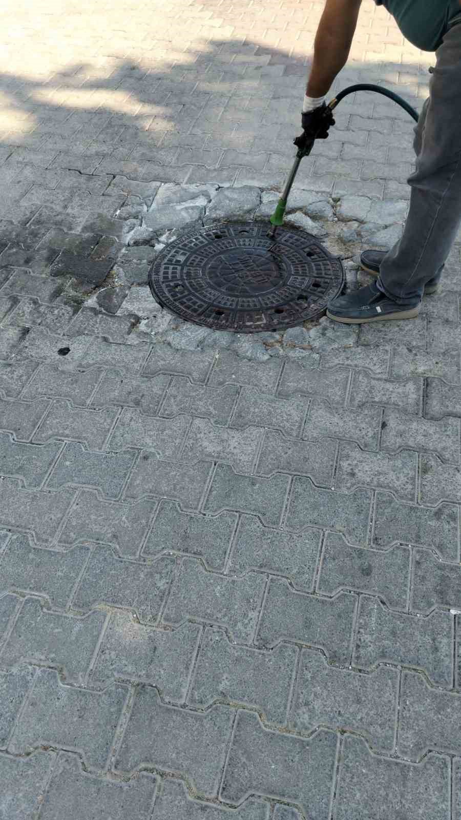 Didim Belediyesi&rsquo;nden sinek ve haşerelere karşı kapsamlı m&uuml;cadele