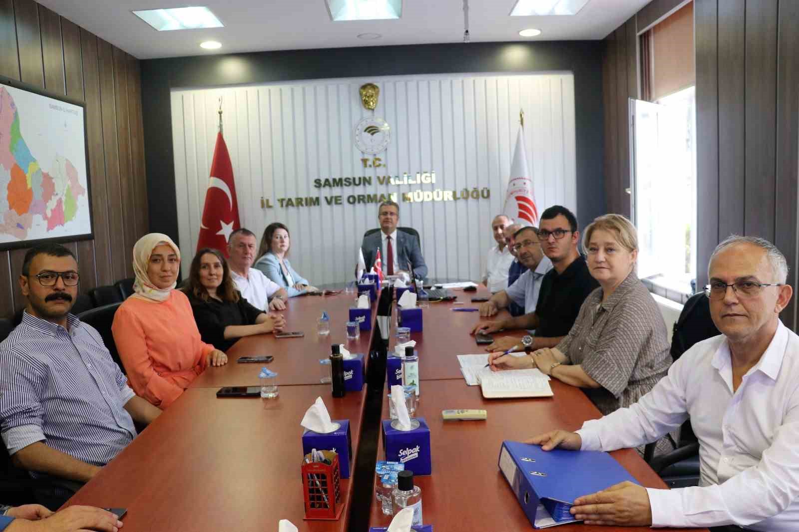 Samsun&rsquo;da fındık rekolte tahmini &ccedil;alışmaları tamamlandı
