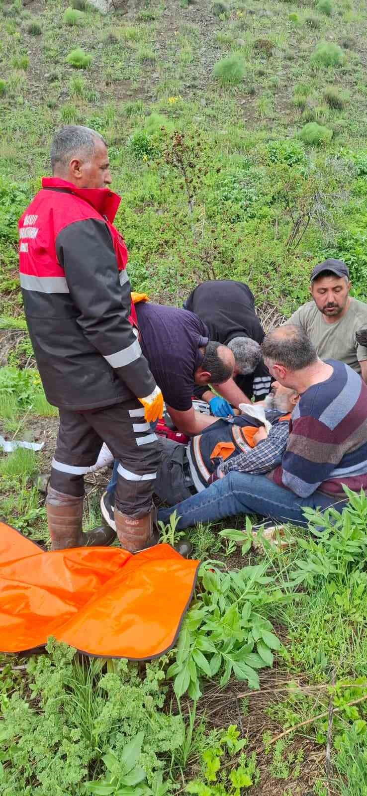 Mantar toplarken ayı saldırısına uğradı