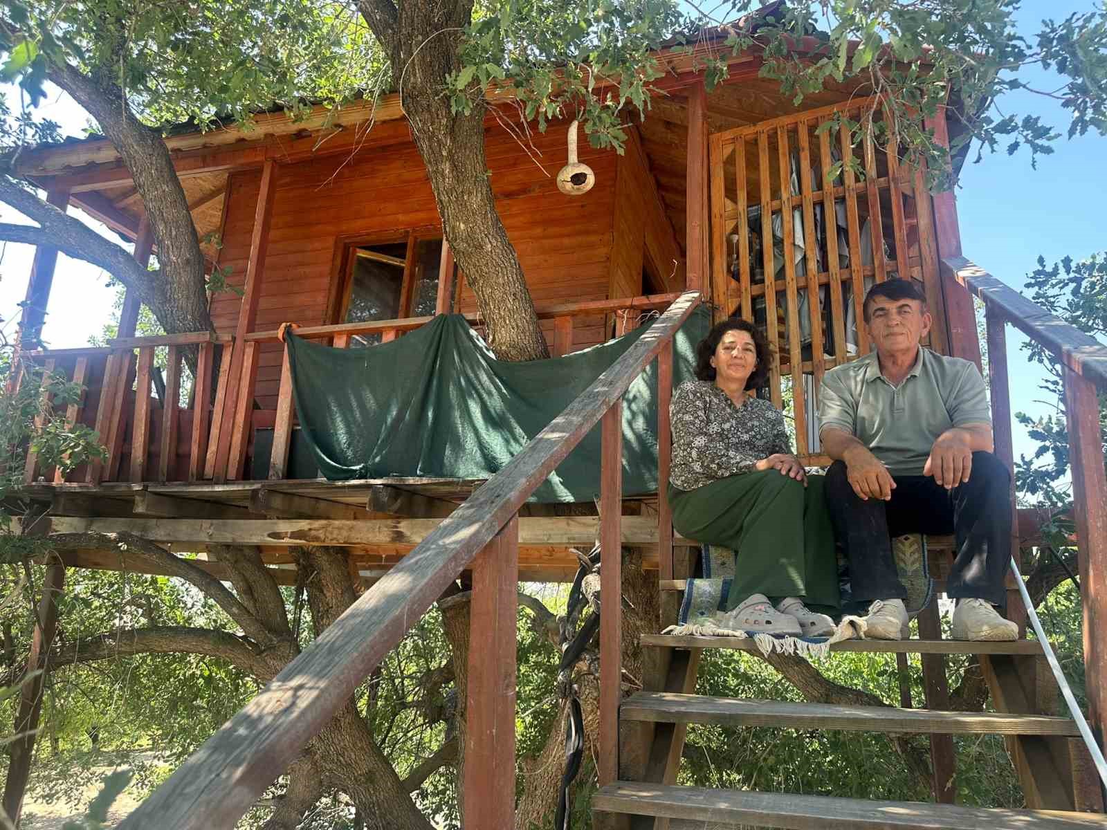 150 yıllık ağacın &uuml;zerine ev yaptı: Dallar odaların i&ccedil;inden ge&ccedil;iyor