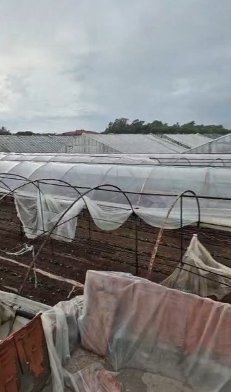 Kumluca&rsquo;da sağanak etkili oldu, denizde &ccedil;ıkıp karaya ulaşan hortum seralara zarar verdi