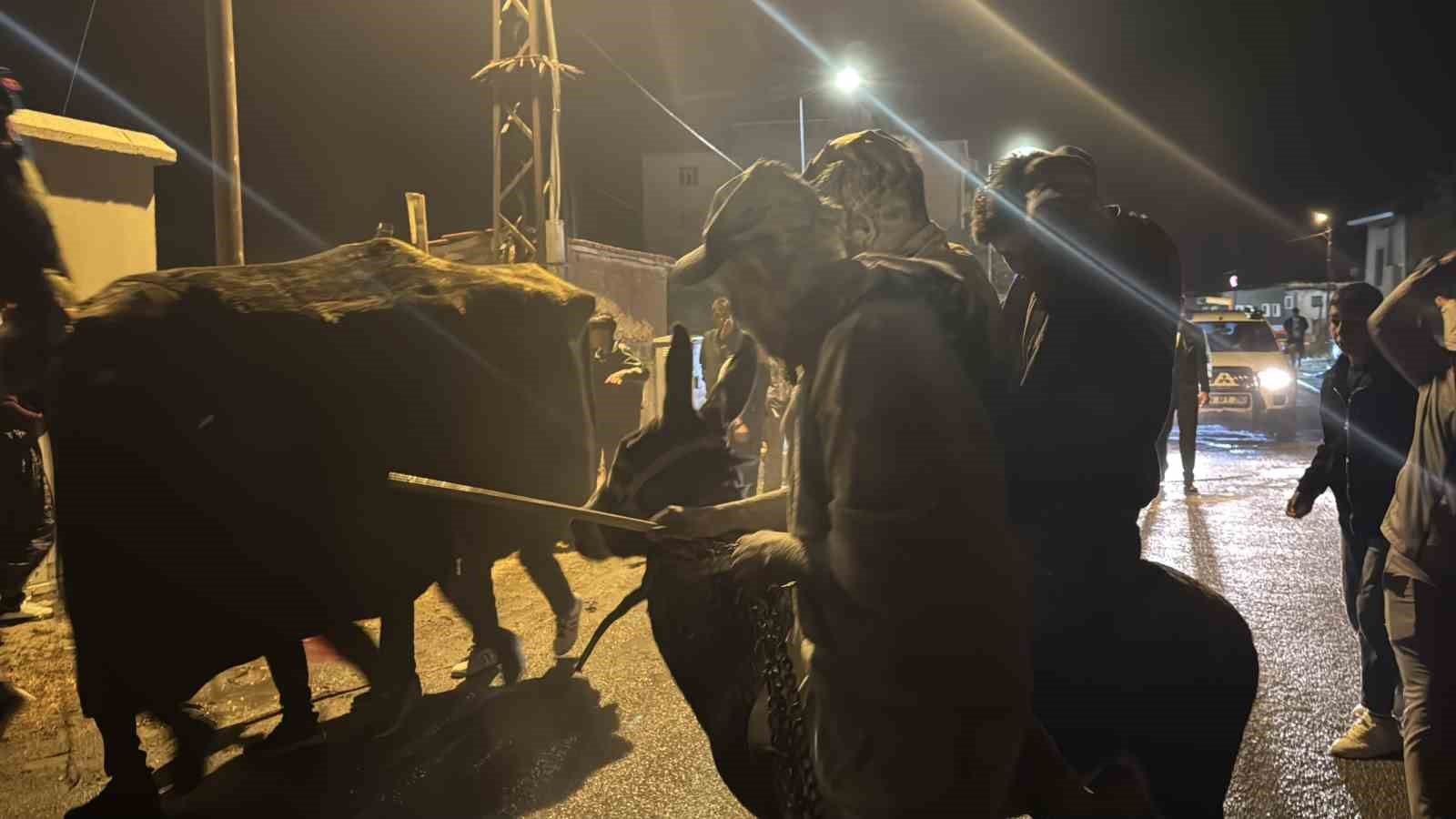 Sivas&rsquo;ta bir garip d&uuml;ğ&uuml;n