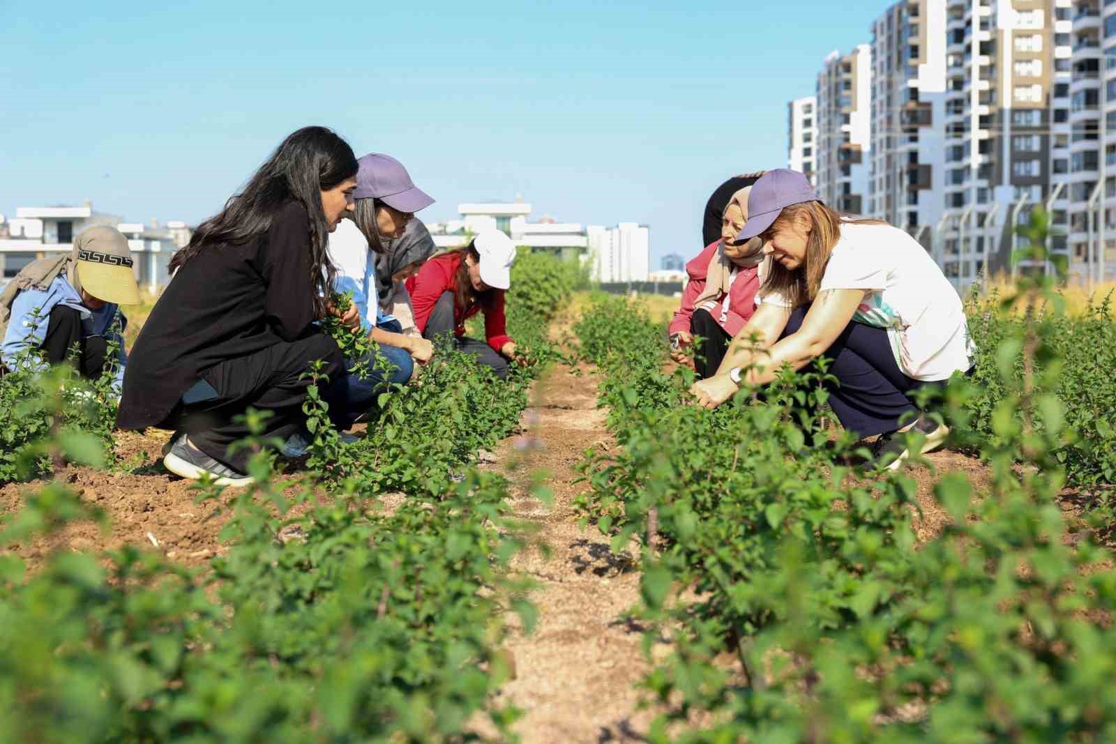 Eşbaşkan Bucak &uuml;retici kadınlarla buluştu