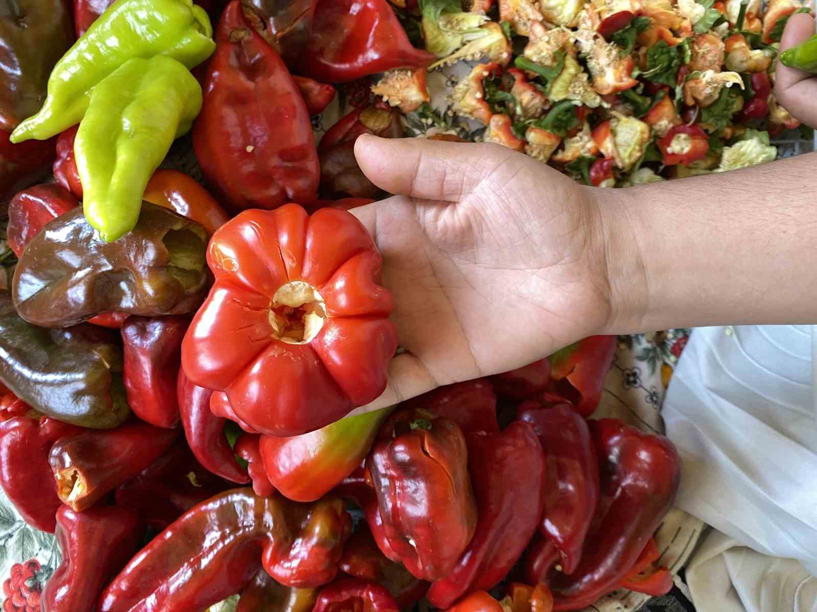 Ağrı&rsquo;da kış hazırlıkları başladı: Kapya biberler ipe diziliyor