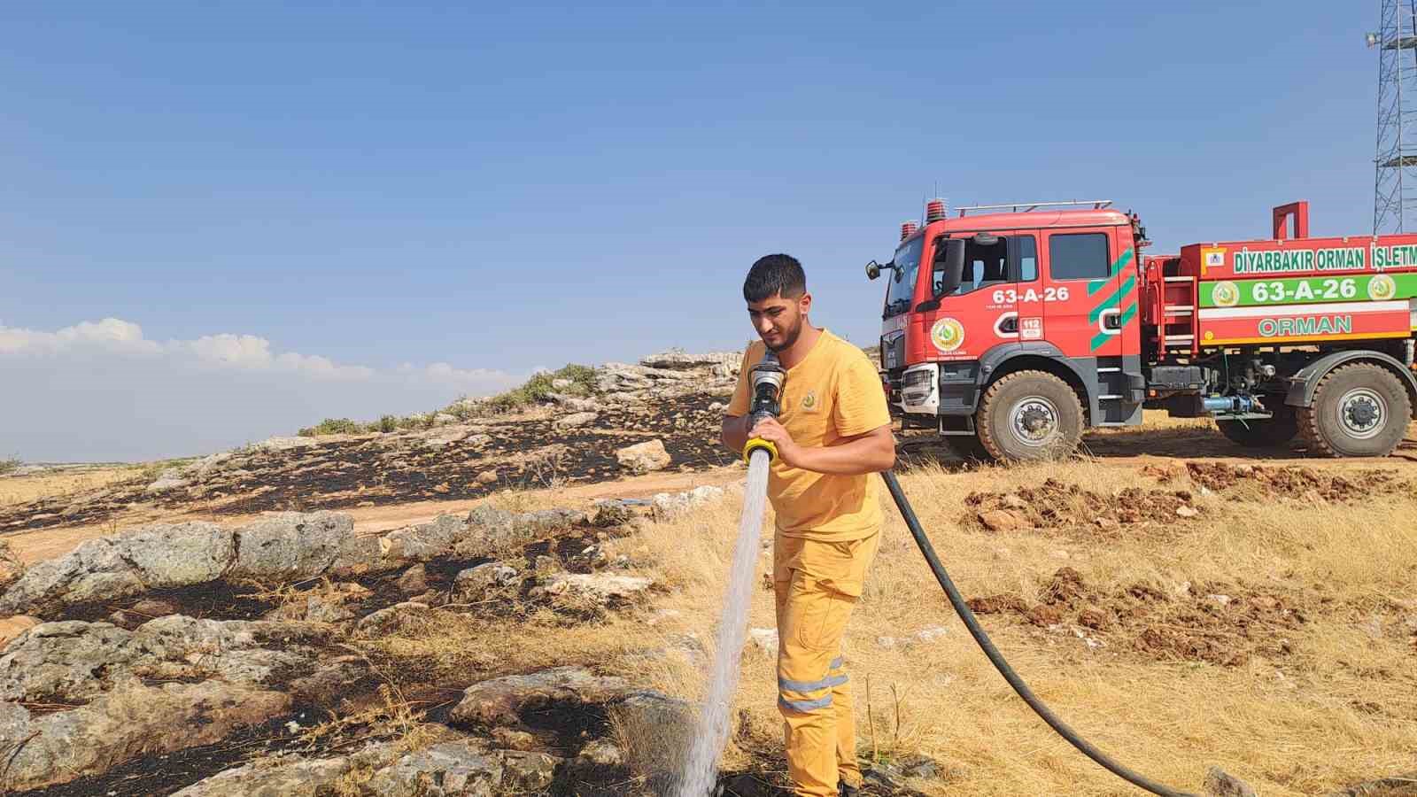 Diyarbakır&rsquo;da yaklaşık 400 d&ouml;n&uuml;m alanı k&uuml;le &ccedil;eviren yangın kontrol altına alındı
