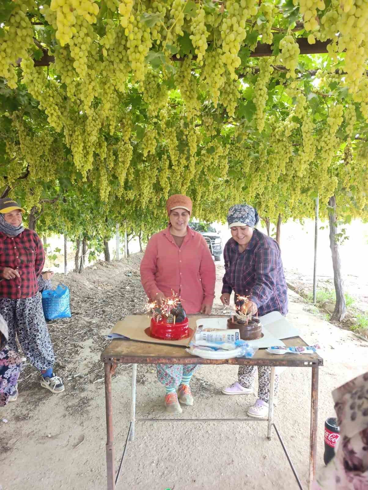 Manisa&rsquo;da &ccedil;ift&ccedil;iden tarım iş&ccedil;isine &uuml;z&uuml;m bağında doğum g&uuml;n&uuml; s&uuml;rprizi