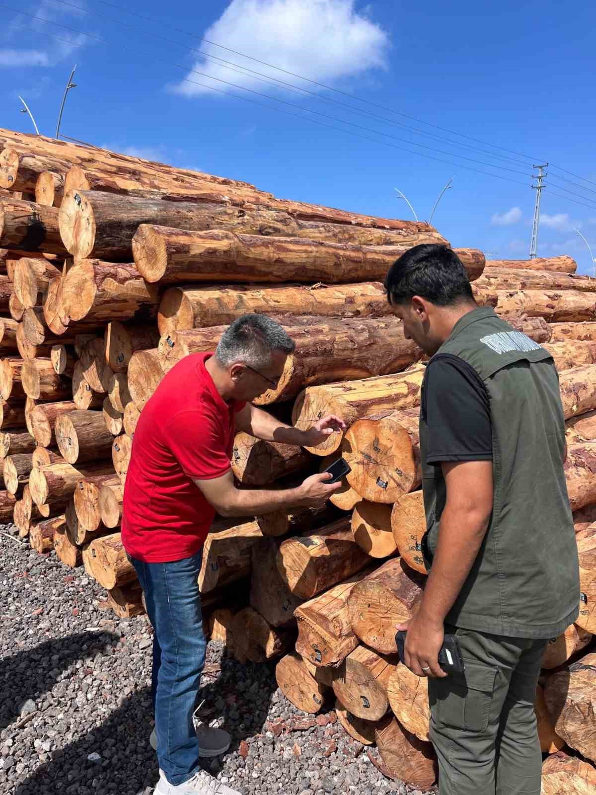 Hatay Orman B&ouml;lge M&uuml;d&uuml;r&uuml; G&uuml;nay, İskenderun Sahil Orman Deposu&rsquo;nda incelemelerde bulundu