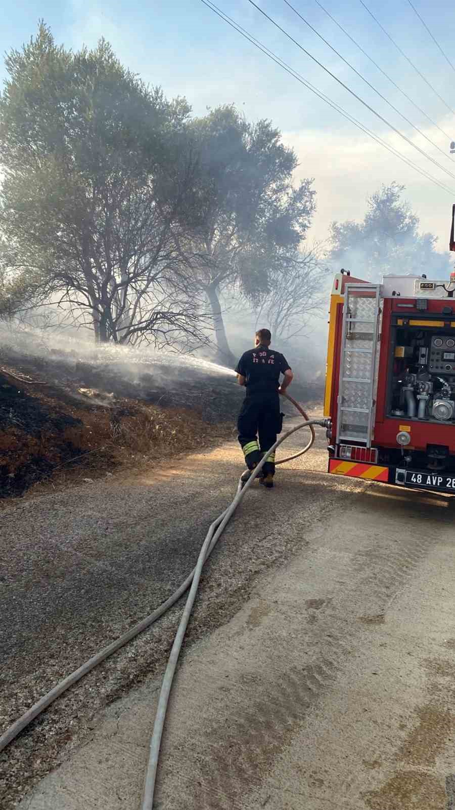 Bodrum-Milas karayolu &uuml;zerinde ot yangını