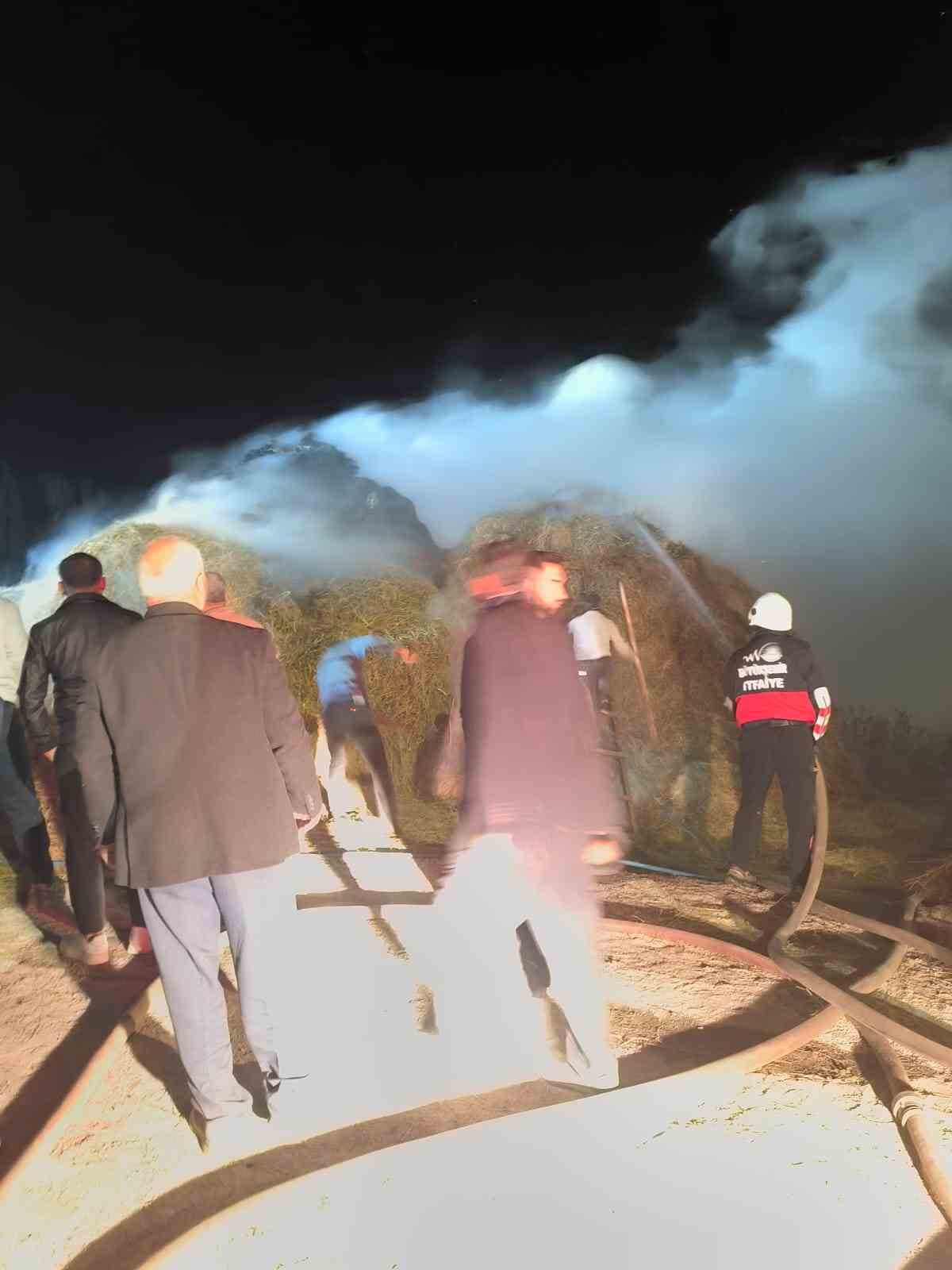 Van&rsquo;da 2 bin 500 bağ ot yandı