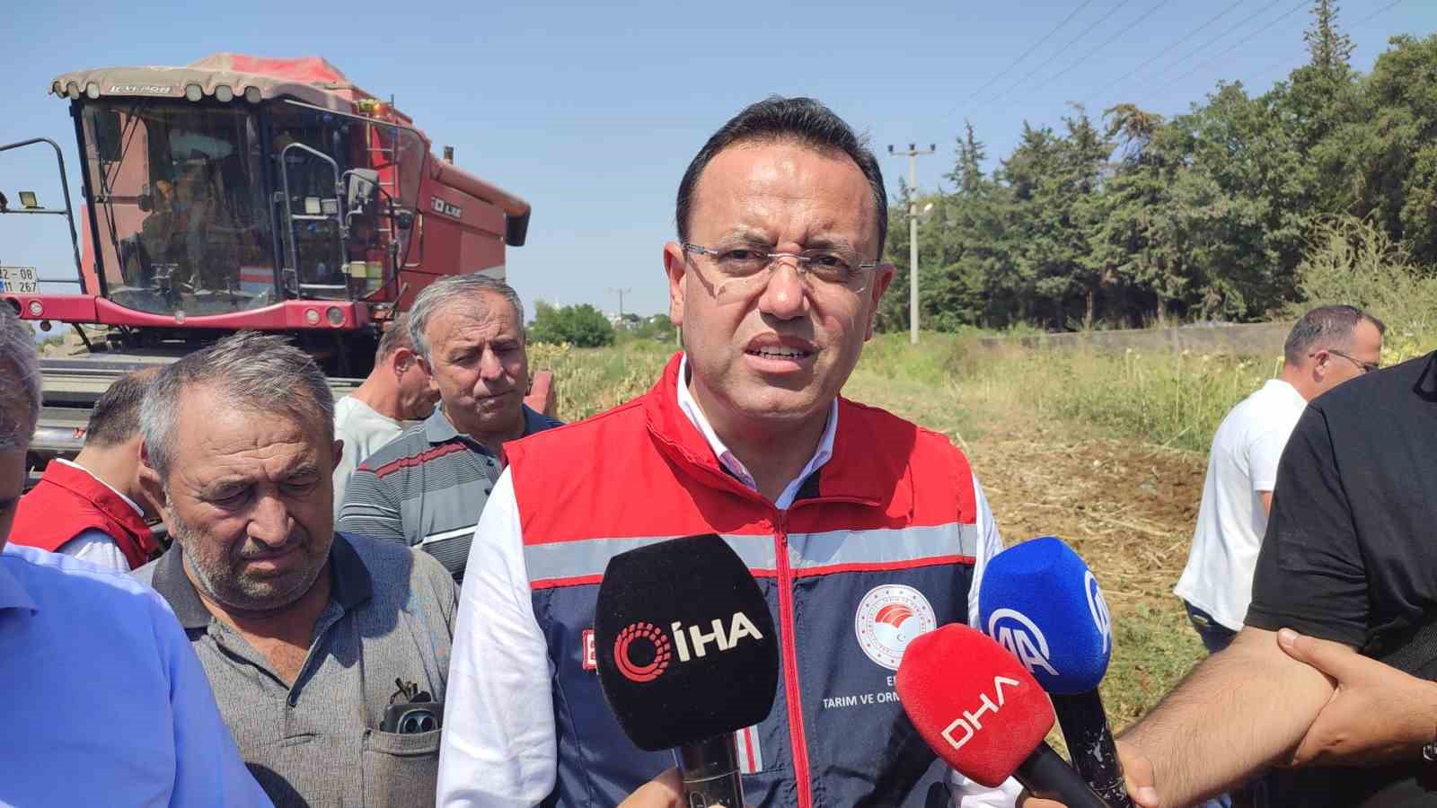Tarım ve Orman Bakan Yardımcısı Gizligider Edirne&rsquo;de ay&ccedil;i&ccedil;eği hasadına katıldı