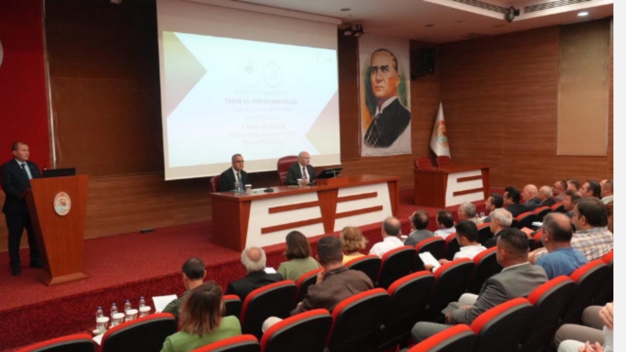Denizli&rsquo;de Sahipsiz Sokak Hayvanları Değerlendirme Toplantısı Yapıldı