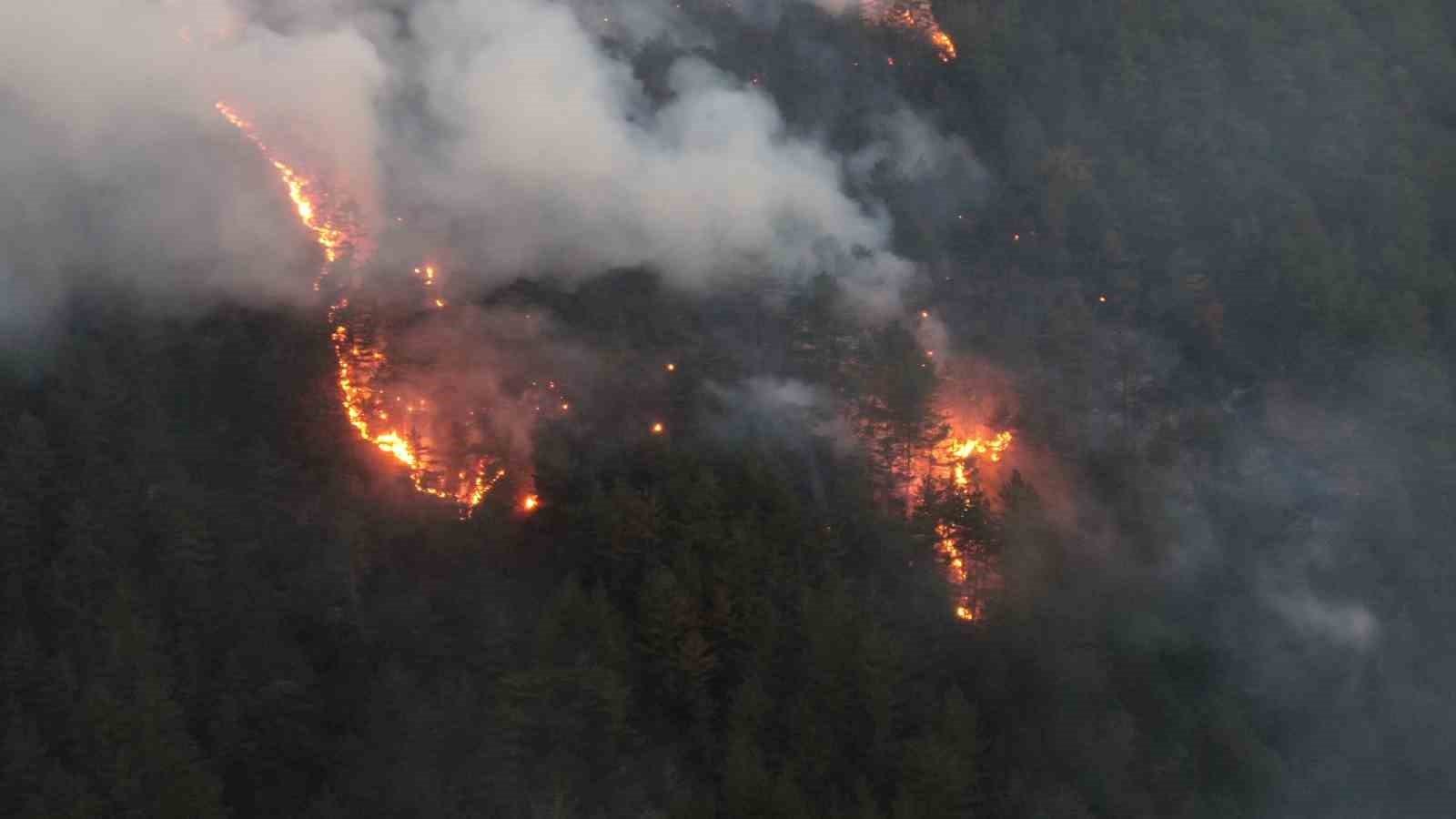 Kastamonu&rsquo;daki orman yangını kontrol altına alındı