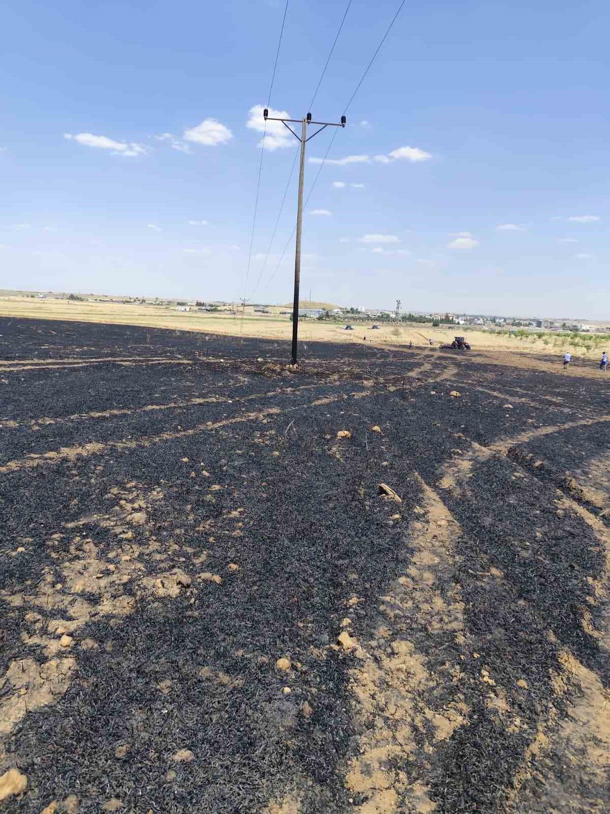 Mardin&rsquo;de 40 d&ouml;n&uuml;m buğday ekili alan yangında zarar g&ouml;rd&uuml;