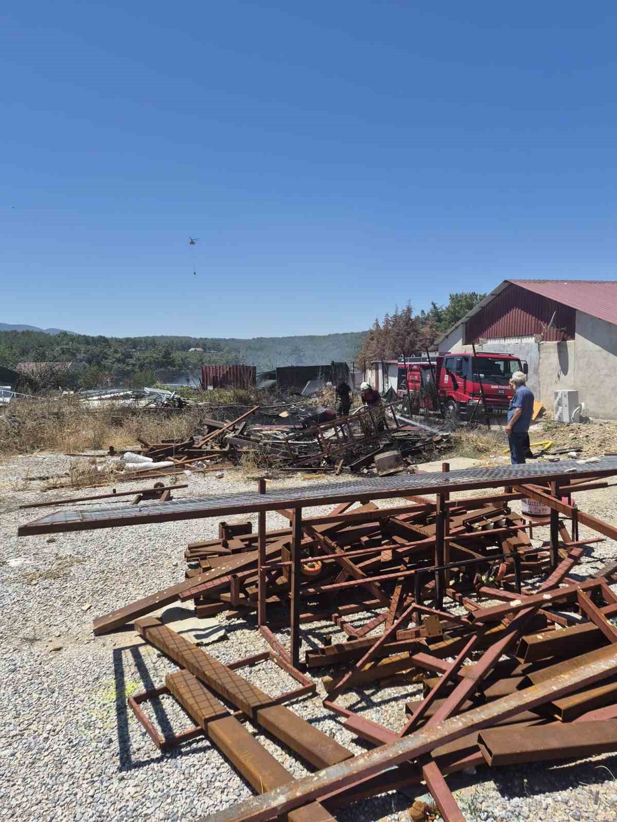 Tarladaki ’balyoz’ çalışması ormanı yakmış: Arazi sahibi tutuklandı