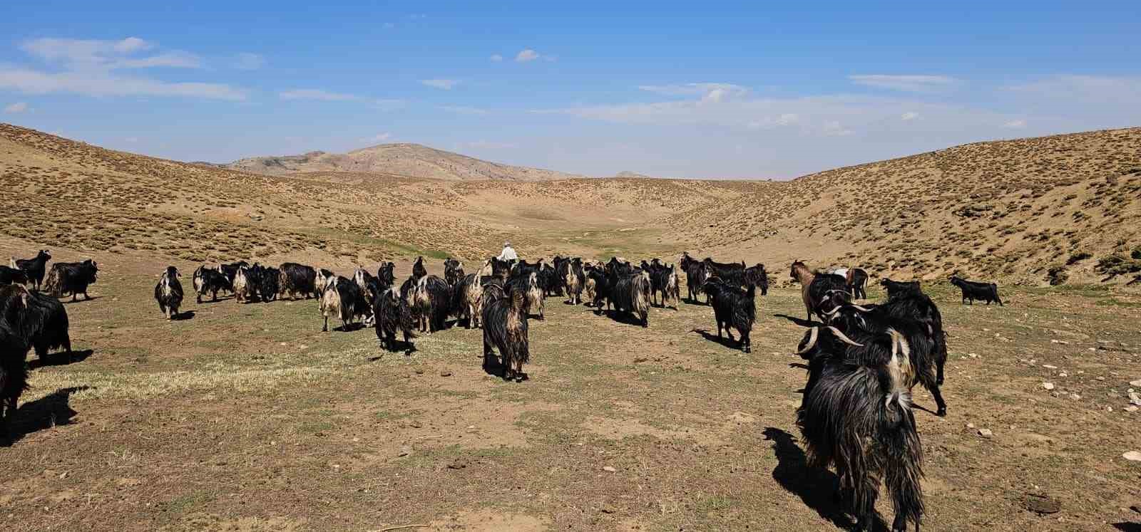 Bursa&rsquo;dan k&ouml;y&uuml;ne d&ouml;nd&uuml;, hayvancılıkla ge&ccedil;imini sağlıyor