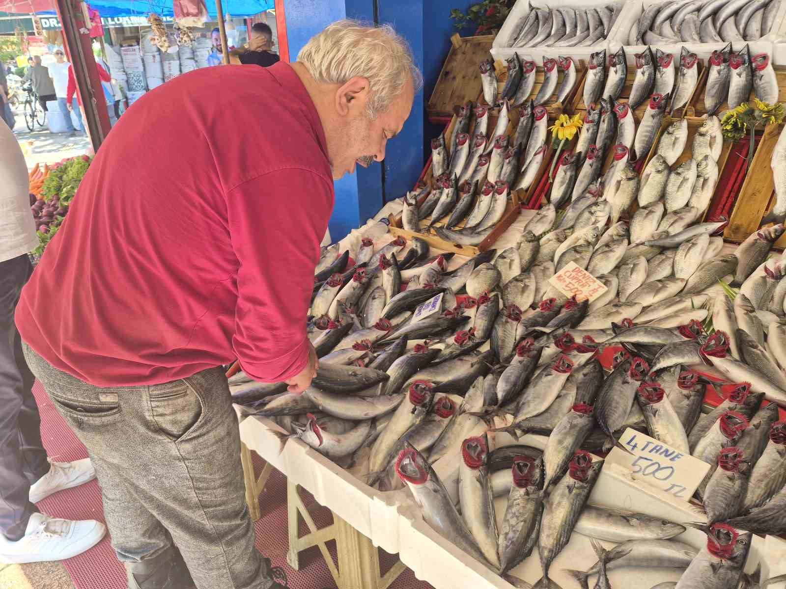 Palamut bu sezon hamsiyi geride bıraktı